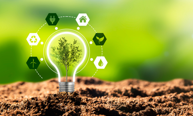 BSc CBC 2M Sustainability