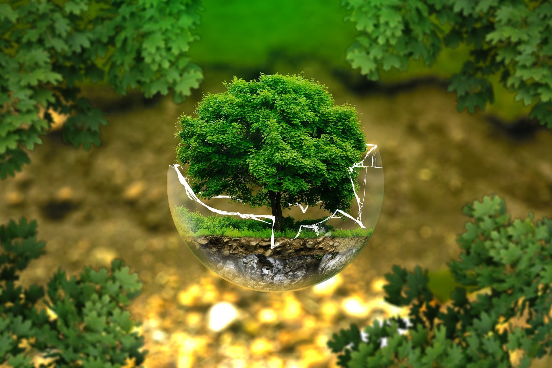 BSc EESS 2M Sustainability