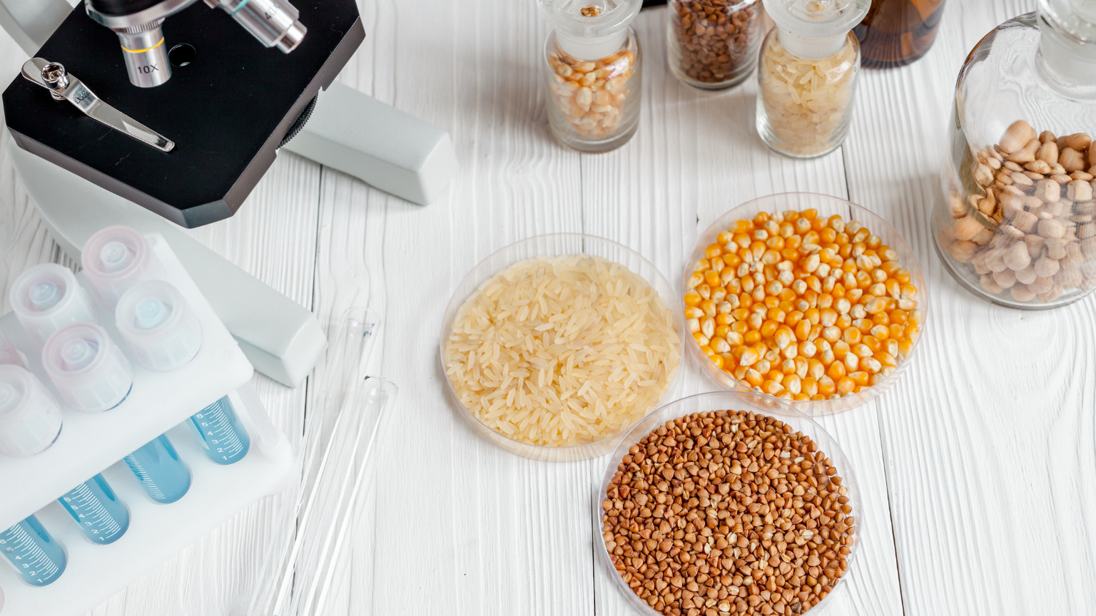 Future Foods