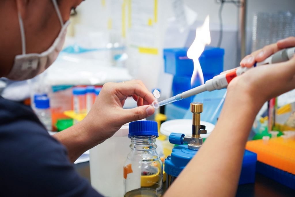 MSc (Research) in Biological Sciences