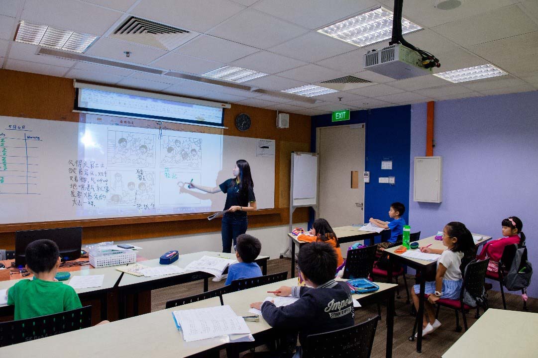 Enrichment Programmes 基础课程