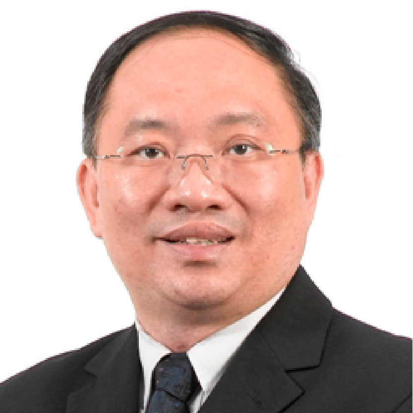 Ng Geok Ing (Prof)