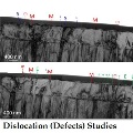 facts_dislocations