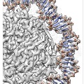 facts_single-particle-analysis