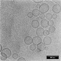Low kV TEM image