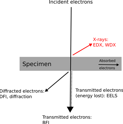 TEM-matter interaction