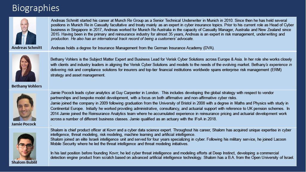 Cyber Risk and Insurance Biographies
