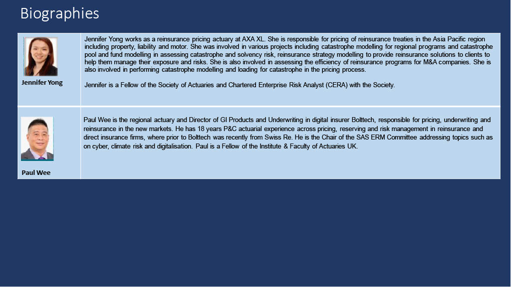 Cyber Risk and Insurance Biographies