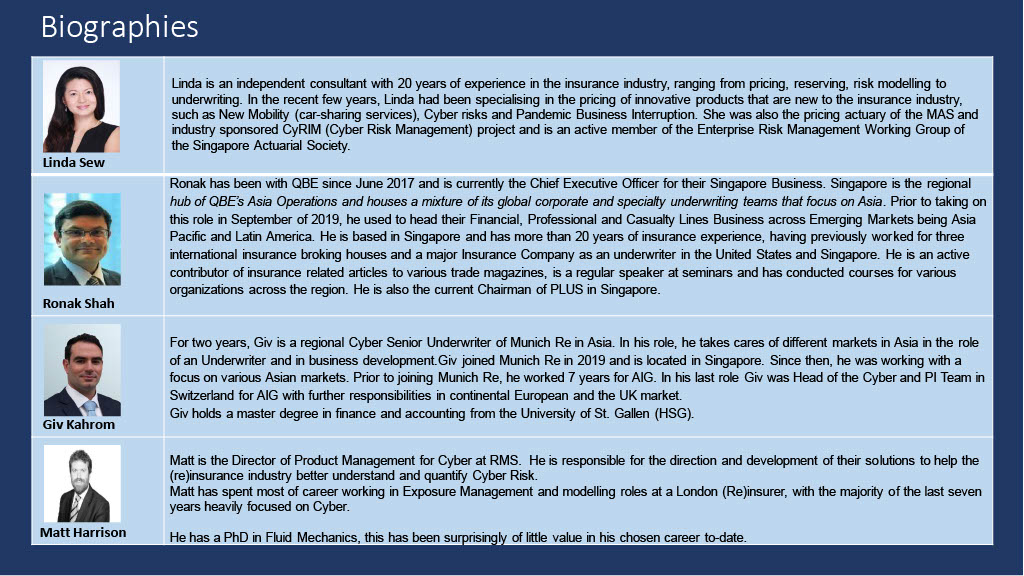 Cyber Risk and Insurance Biographies 