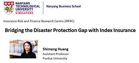 Bridging the Disaster Protection Gap with Index Insurance