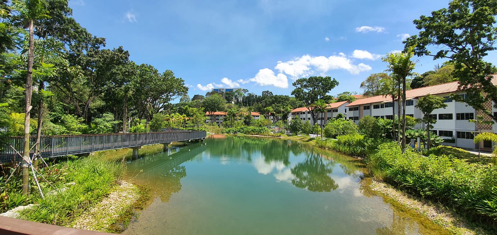 campus housing