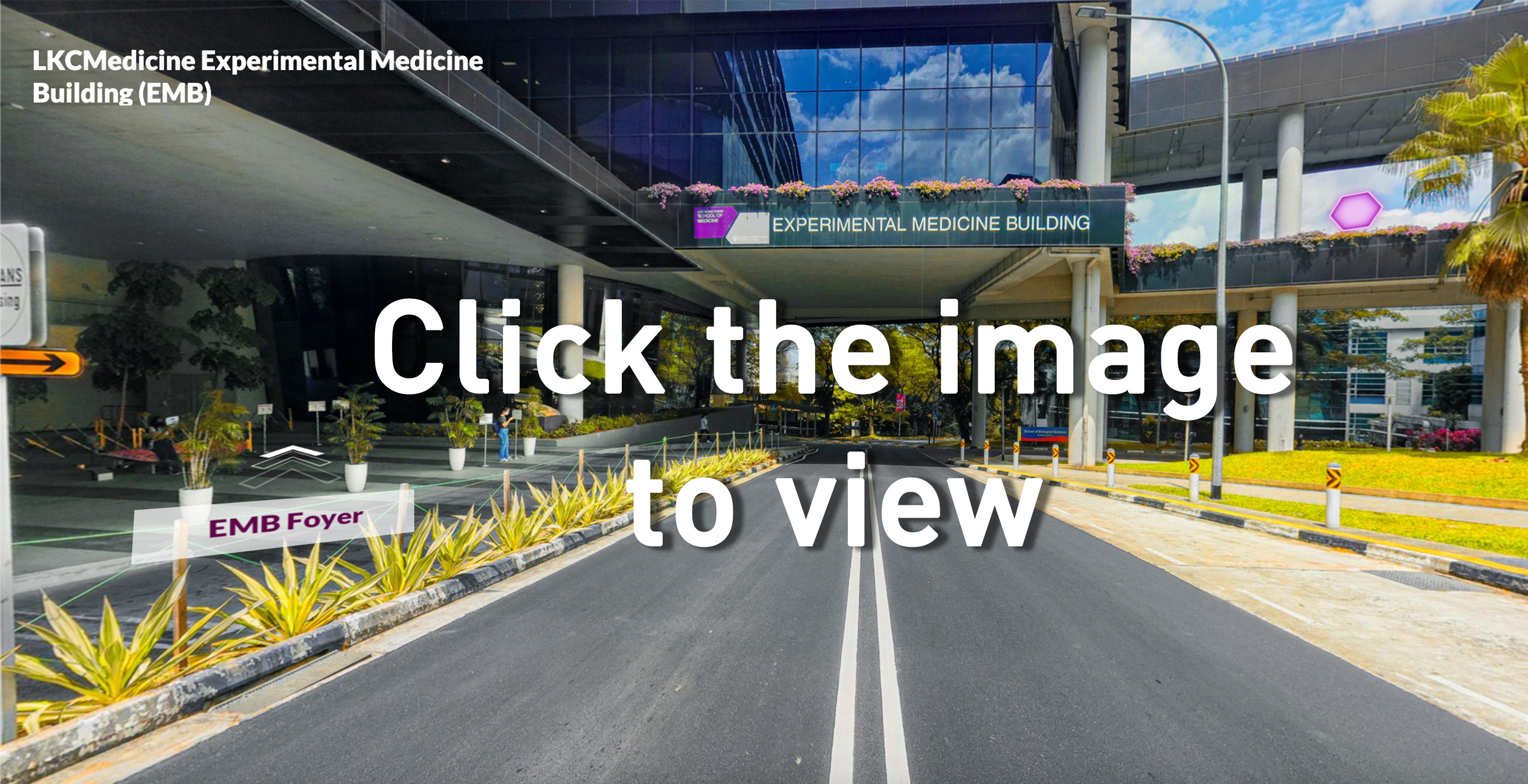360 Tour of LKCMedicine Campuses | Lee Kong Chian School of