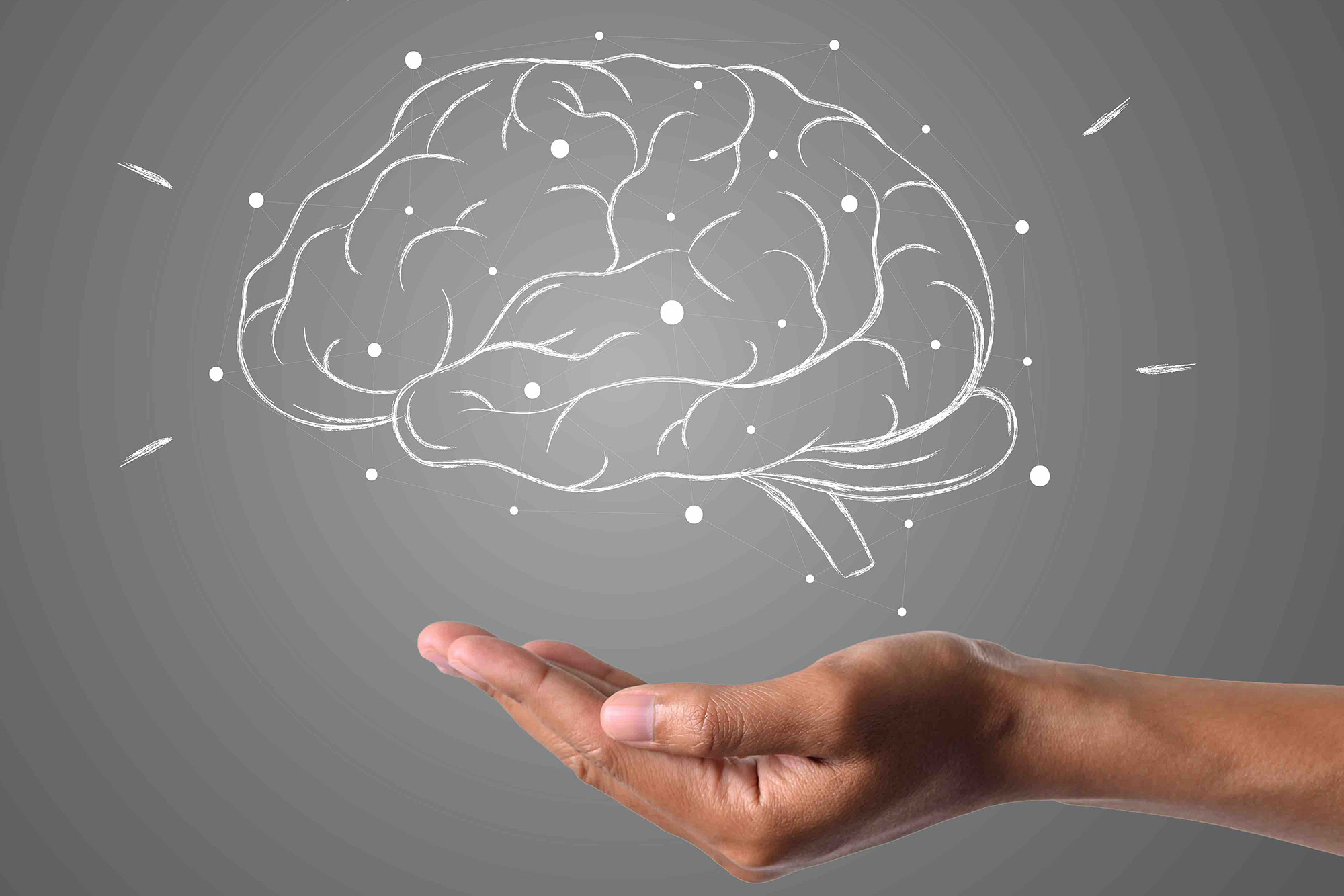 brain