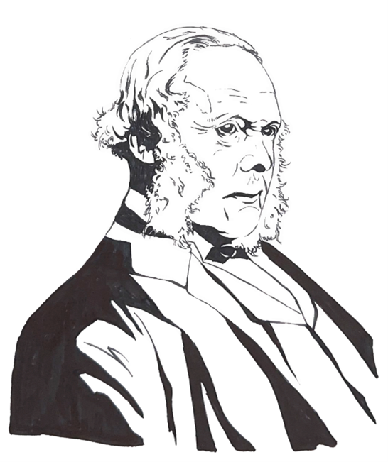 Brown Bear Franklin