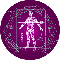 Microbiome Research Programme