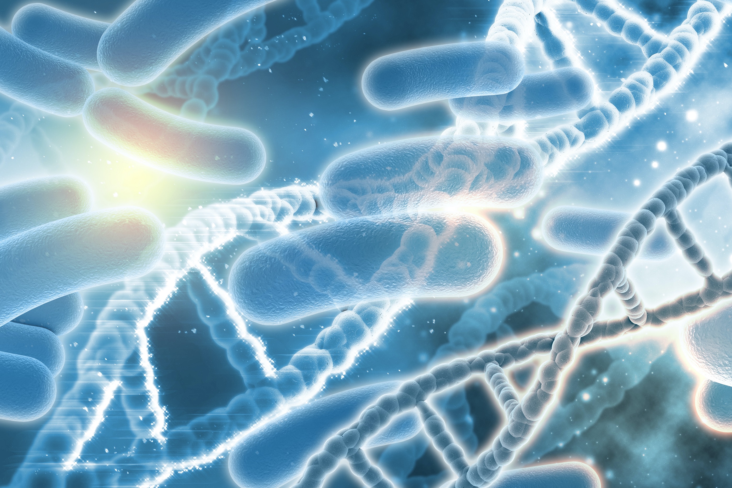 LKCMedicine - Gut bacteria.
