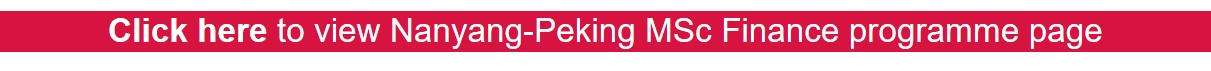 click here to view nanyang-peking msc finance