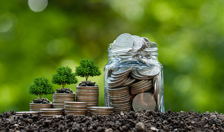 Carbon Market and Pricing Fundamentals
