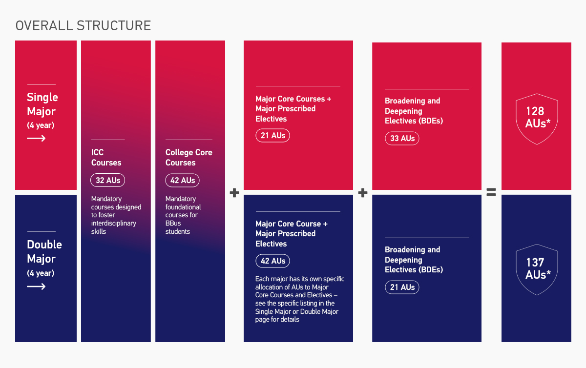 BBus Overall Programme Structure