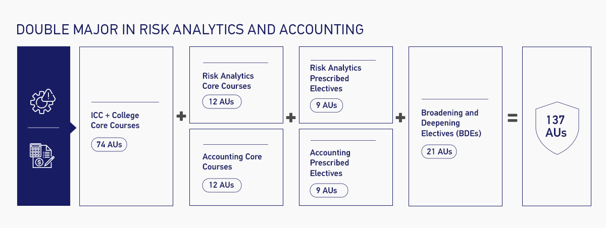 Double Major in Risk Analytics and Accounting Overview