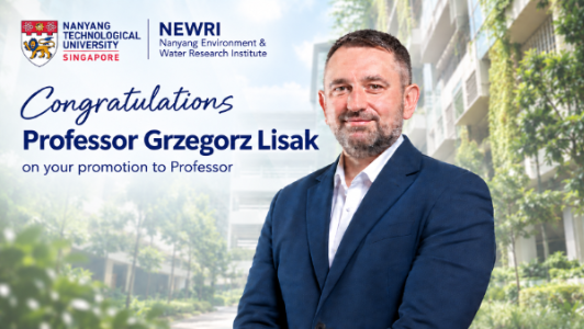 Prof Lisak Promotion to Professor (Mobile)