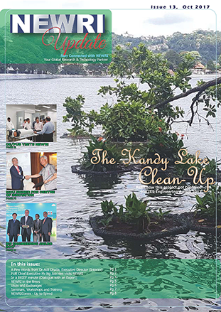NEWRIUpdate_Issue13