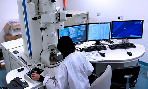 Analytics Cluster (TEM)