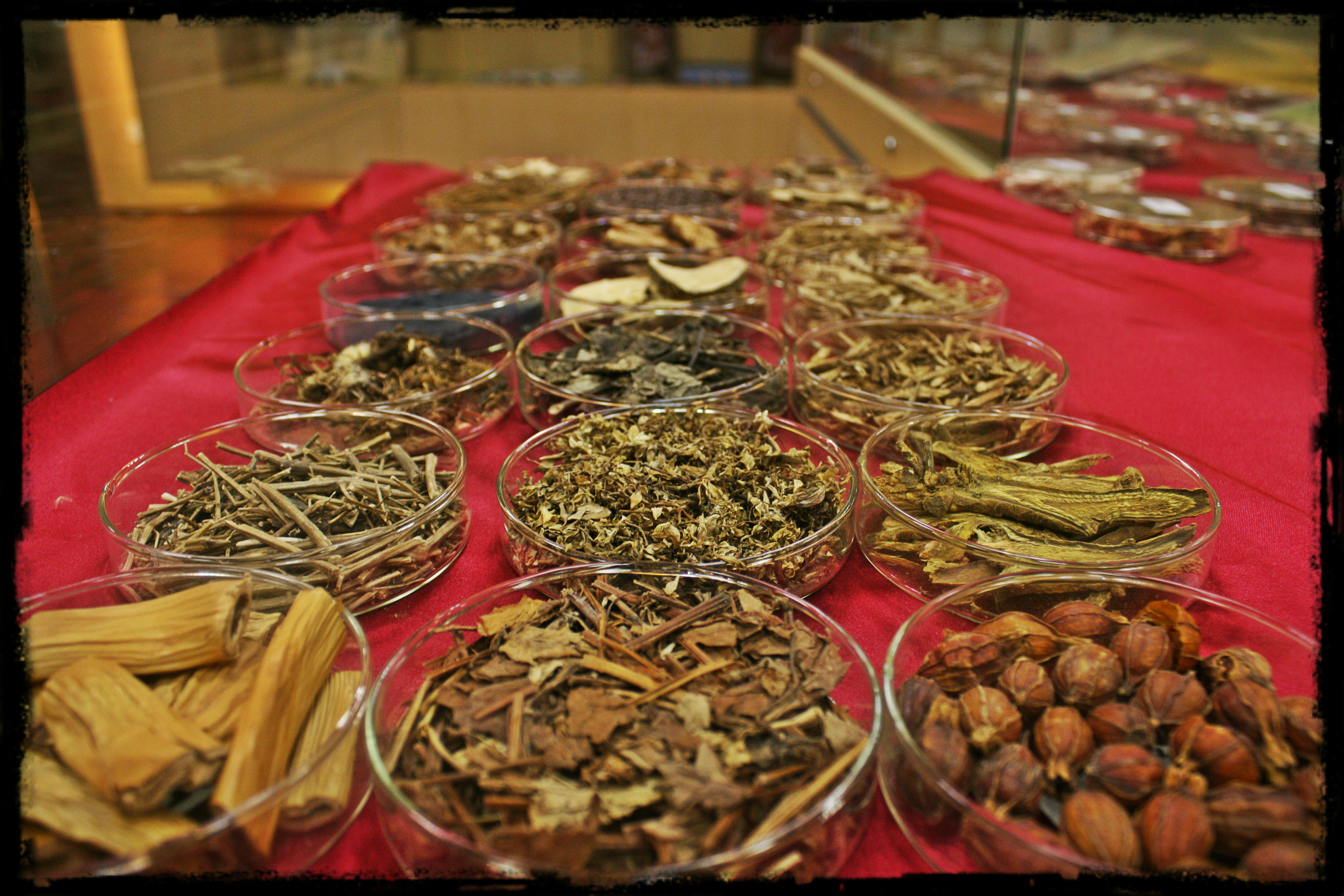 清热药 Heat Clearing Herbs