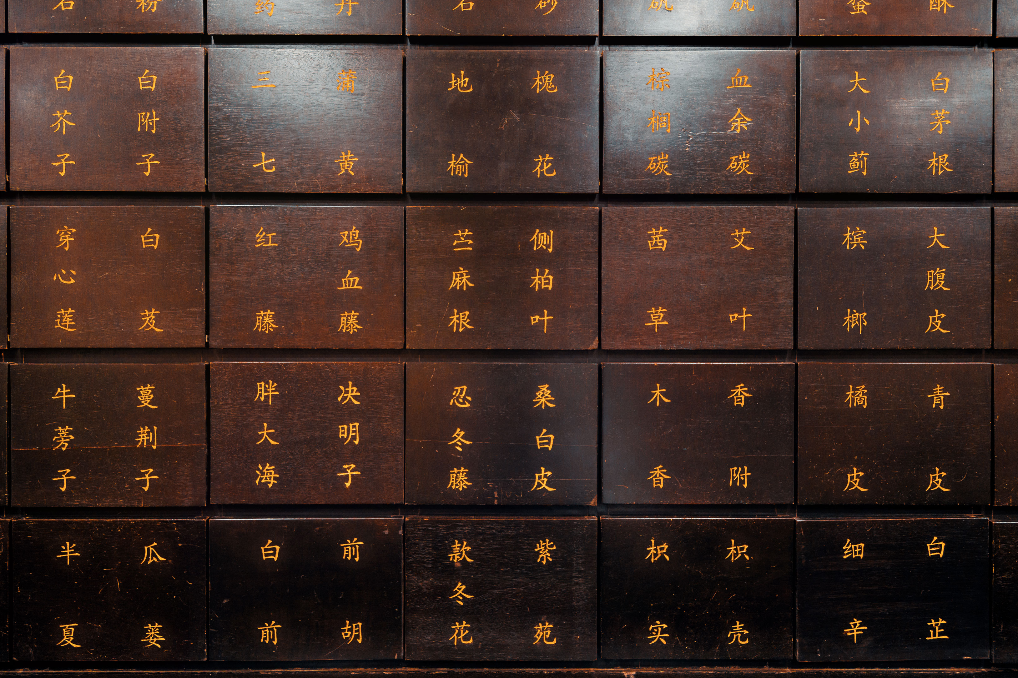 TCM Herb Drawers