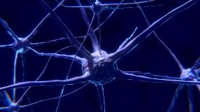 nerve-cell-2213009_1920 nerve-cell-2213009_1920