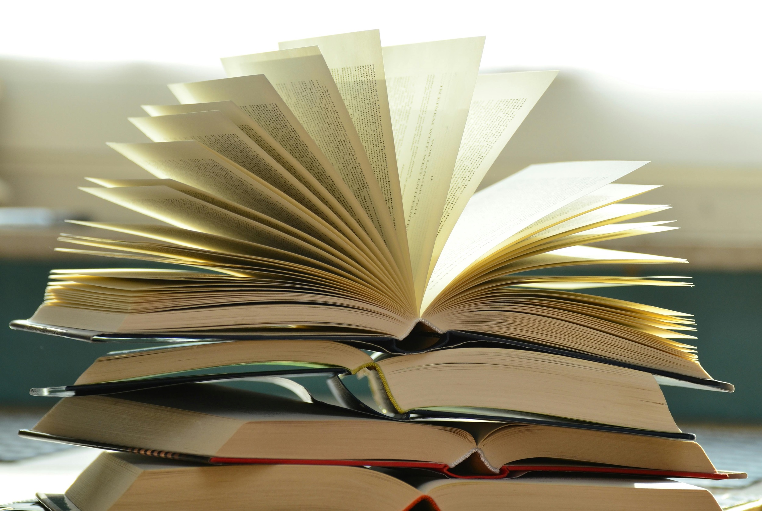 Literature & Culture