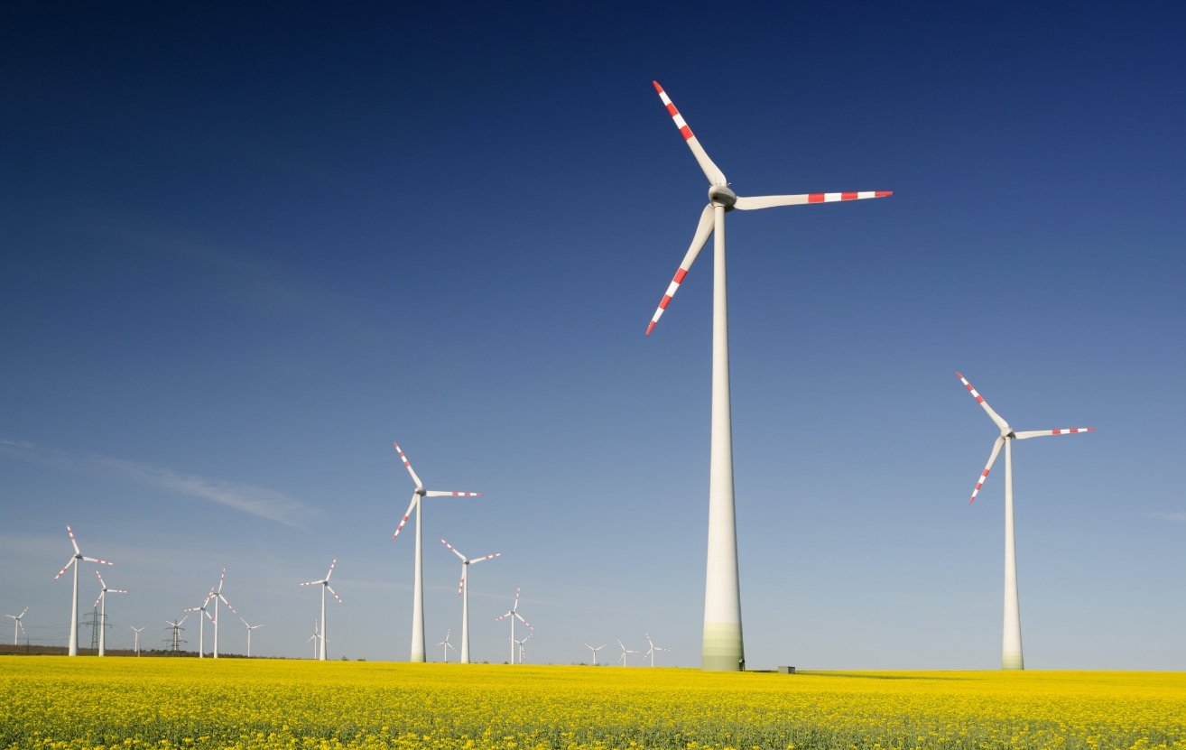 Hard-launch-of-SLL-Sustainability-Symposium-