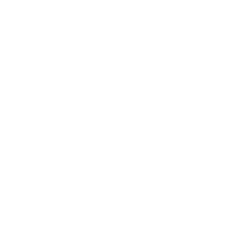 reflect_icon