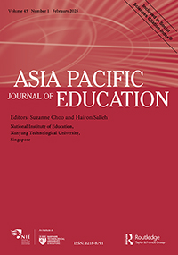 APJE_image for CAE special issue
