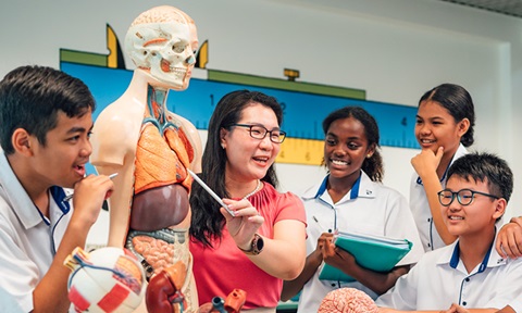 Anatomy Of The Human Body On A Biology Science Model Discussed By Science Teacher And A Group Of 7 Secondary School Students Closeup (720x432px)