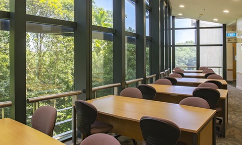 Library Tables Beside Glass Window And Trees (720x432px)