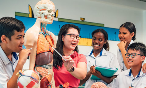 Anatomy Of The Human Body On A Biology Science Model Discussed By Science Teacher And A Group Of 7 Secondary School Students Closeup (480x288px)
