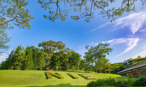NIE Green Hill with Plant Topiary Logo Top View with Sky (480x288px)