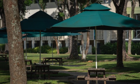 NIE outdoor with picnic wooden table and umbreallla