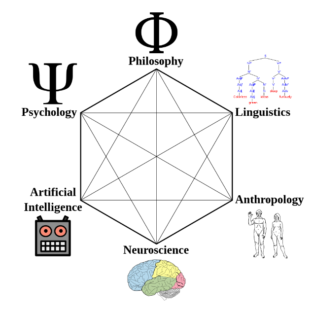 Cognitive Sciences: An interdisciplinary study of the mind and its processes.