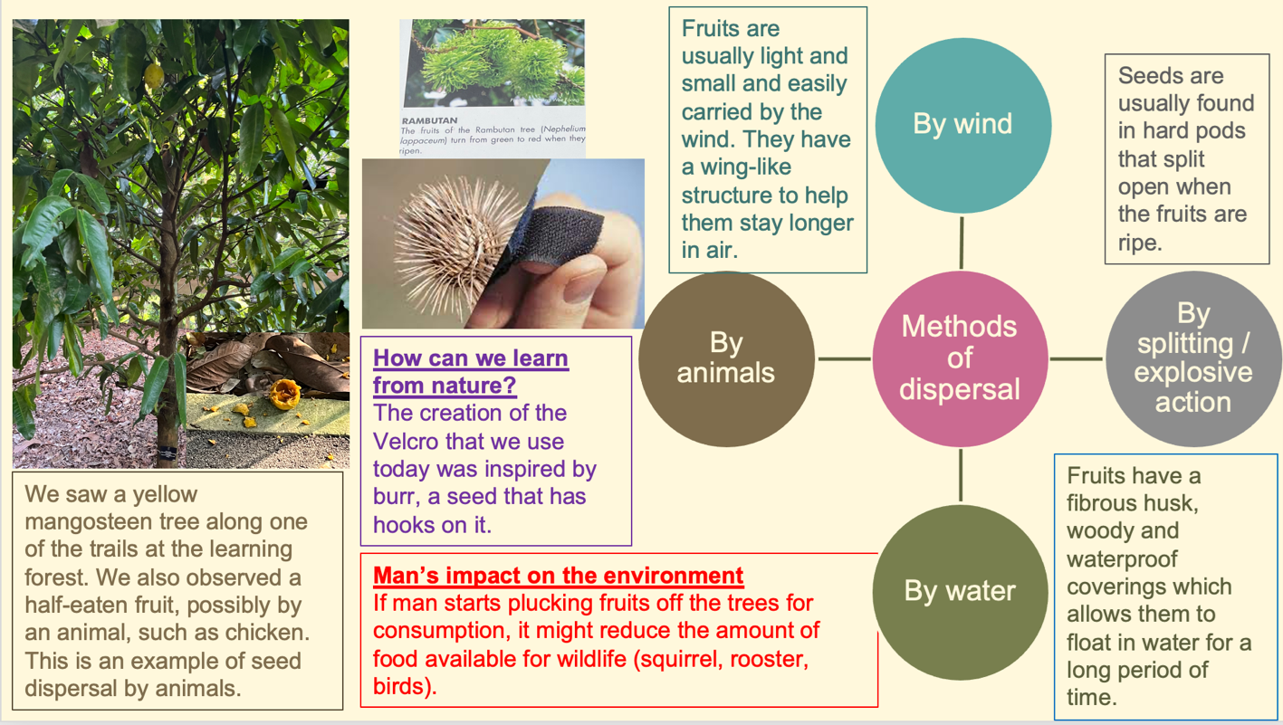 Example of the poster which will be created by students Example of the poster which will be created by students